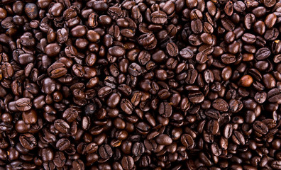 Fototapeta premium Coffee beans closeup background