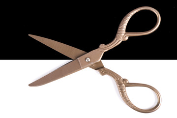 Old Metal Scissors