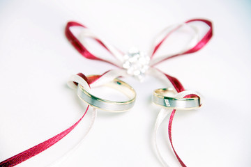 Wedding Rings and Ring Pillow