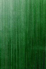 old green wallpaper background