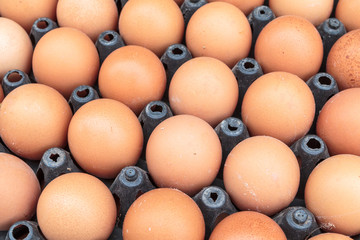 Brown organic eggs on a market