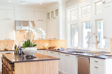 Kitchen in New Luxury Home