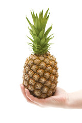 Hand holding a fresh pineapple