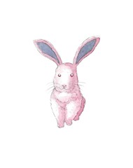 ピンク色のウサギ