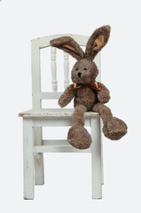 Hase auf dem Stuhl