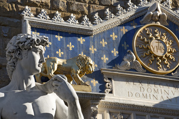 David by Michelangelo - Florence Italy