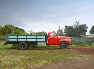 Old farm truck - 51487657