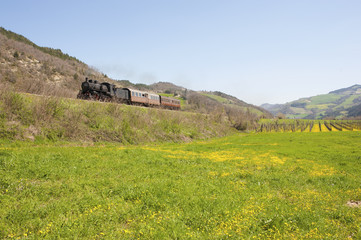 Steam train on yellow meadow