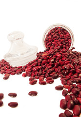 red beans against white background