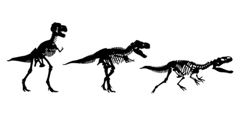 three skeletons of dinosaurs
