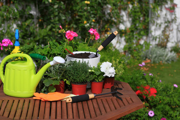 planting flowers with garden tools ,various flowers and herbs in