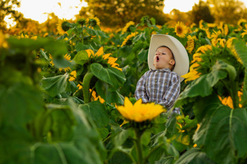 Young Farmer Boy Crowing in Sunflower Patch