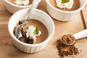 Rich Gourmet Homemade Chocolate Mousse Dessert