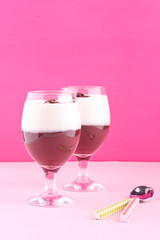 two color pudding, chocolate and vanilla pudding