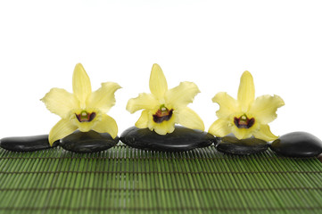 zen stones with three yellow orchid on green mat