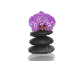 Fototapeta na wymiar Pink orchid blossom on top of balanced spa stones