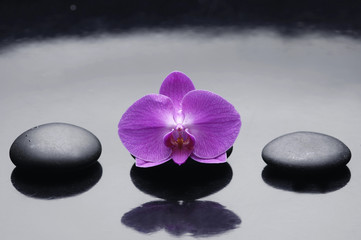 Fototapeta na wymiar Set of three zen stone with one orchid reflection