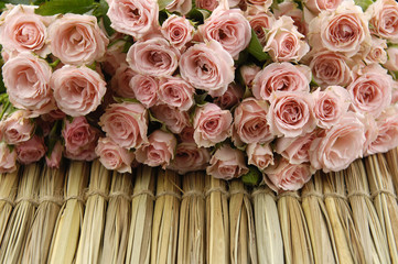 Lying down roses bouquet on dry straw tied up by threads