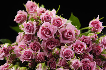 Fototapeta na wymiar Big Pink Roses Bouquet-black background