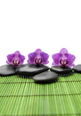 Three pink orchid with black stones on green mat