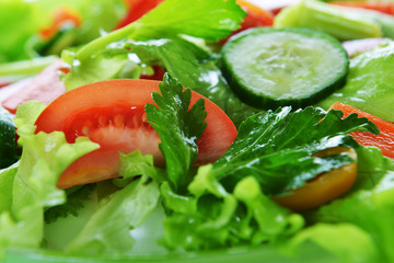 salad with vegetable