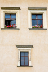 Fototapeta na wymiar Okno na fasadzie