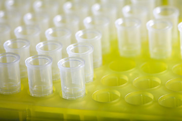 Laboratory disposable tubes in holder
