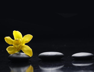 Set of three zen stone with yellow orchid reflection