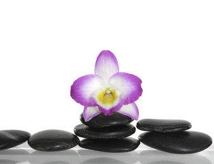 Fototapeta na wymiar zen stones with pink orchid