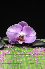 pink orchid with zen stone and many salt on green mat