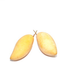 mango isolated