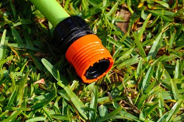 Hose connector on grass, Spain © Arena Photo UK