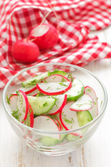 Fresh salad with radish and cucumber