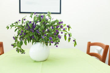 Plant on table