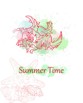 colorful seashell summer background