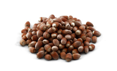 Hazelnut close up