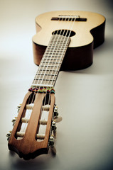 acoustic guitar © Roman Gorielov