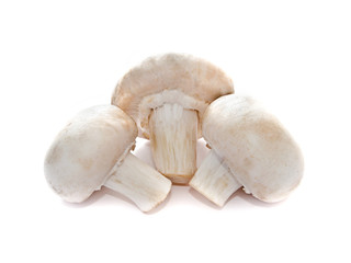 Fototapeta na wymiar mushrooms