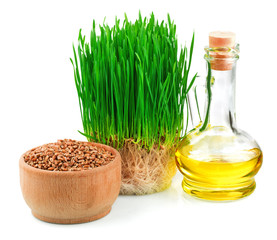 Wheat sprouts, wheat seeds in the wooden bowl and wheat germ oil - 51505200