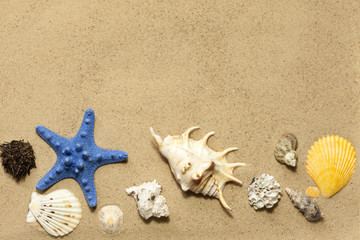 Fototapeta na wymiar Muszle i rozgwiazdy na plaży na piasku tle streszczenie