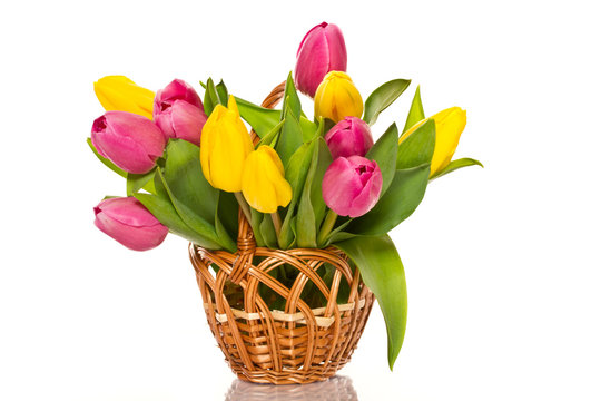 wicker basket with tulips
