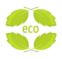 Eco leaves
