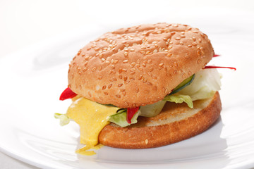 burger on the white