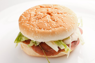 burger on the white