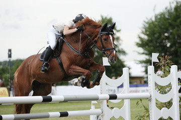 Springreiten