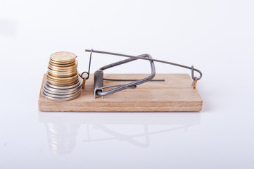 Mousetrap with money