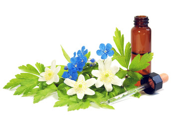 Homöopathie, homöopatische Tropfen mit Buschwindröschen und Vergißmeinnicht, isoliert,...