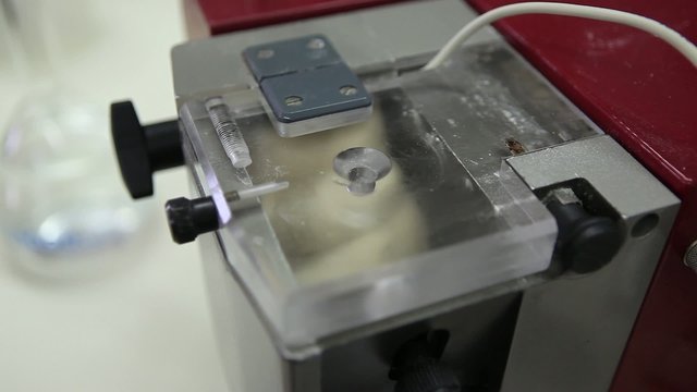 testing flour and dough in mills laboratory