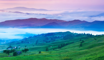Foggy summer morning in the Carpathian mountains. Ukraine, Europ