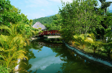 Fototapeta na wymiar Most w dżungli